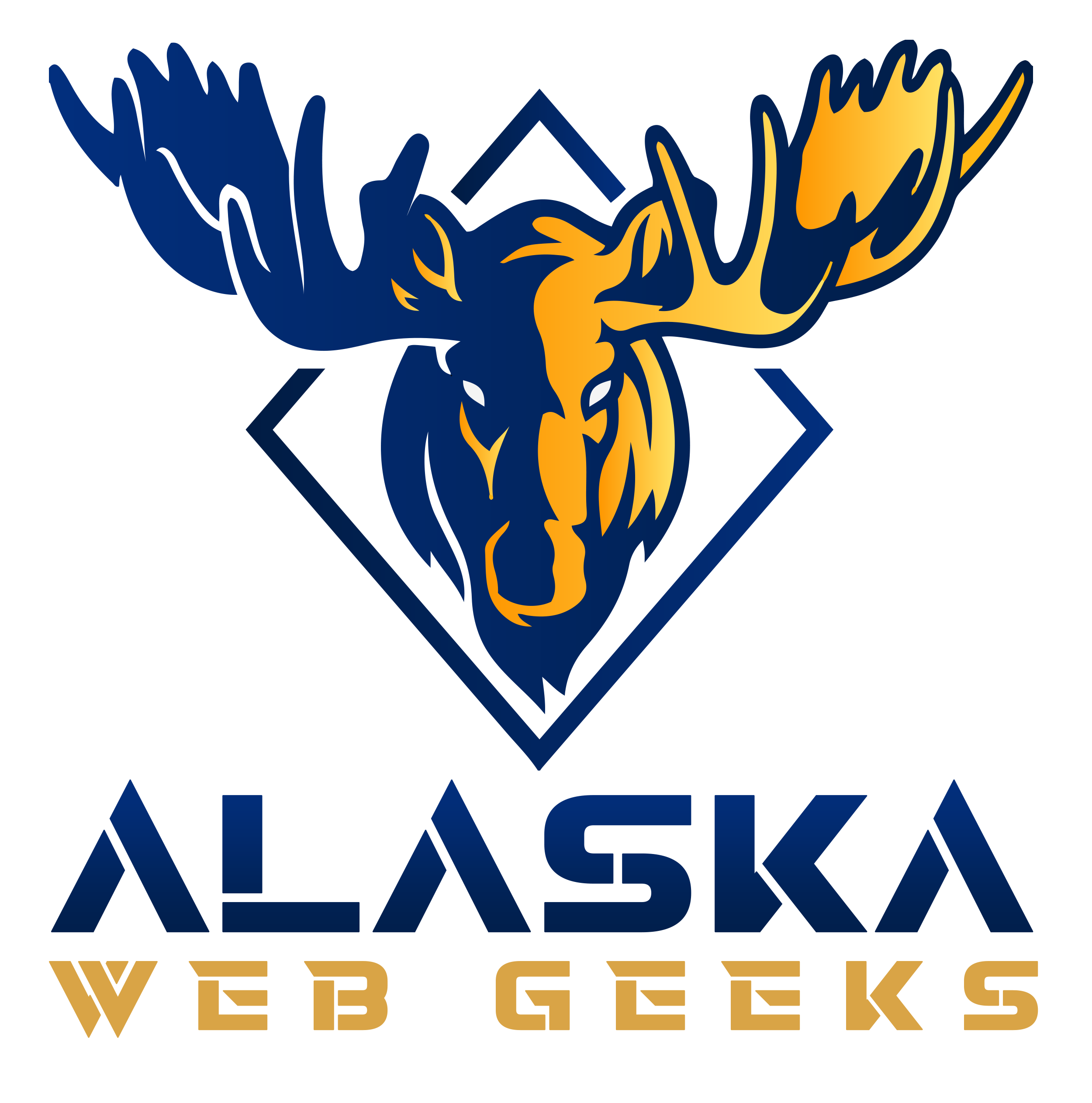 Alaska Web Geeks Brief