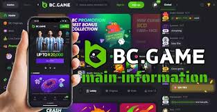 Experience the Thrill of BC.Game Crypto Casino - A Unique Gaming Destination